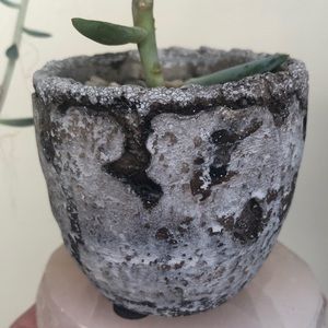 Meet your Posher, Sonja